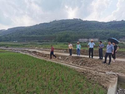 來賓市農業農村局聯合財政局開展2021年高標準農田建設及耕地地力保護督導工作，助力農業企業托管服務發展